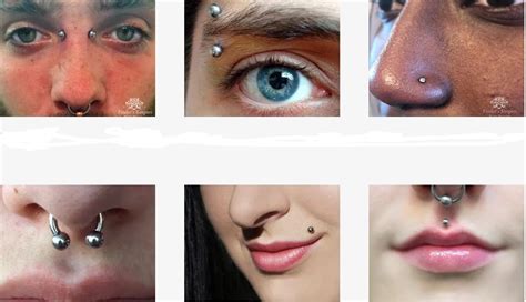 bodypiercing aesthetic|different types of body piercings.